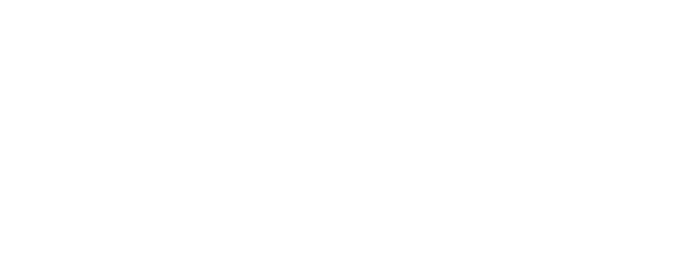 Project X60 logo