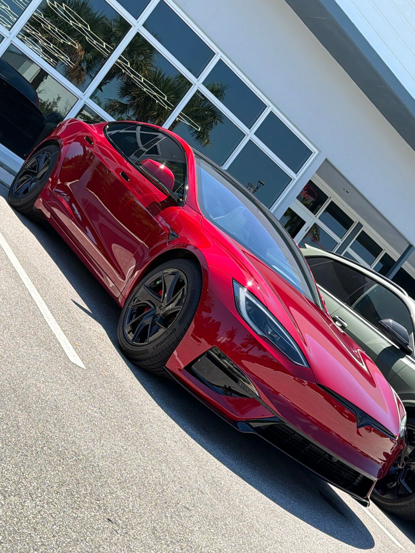 PPF project 6
