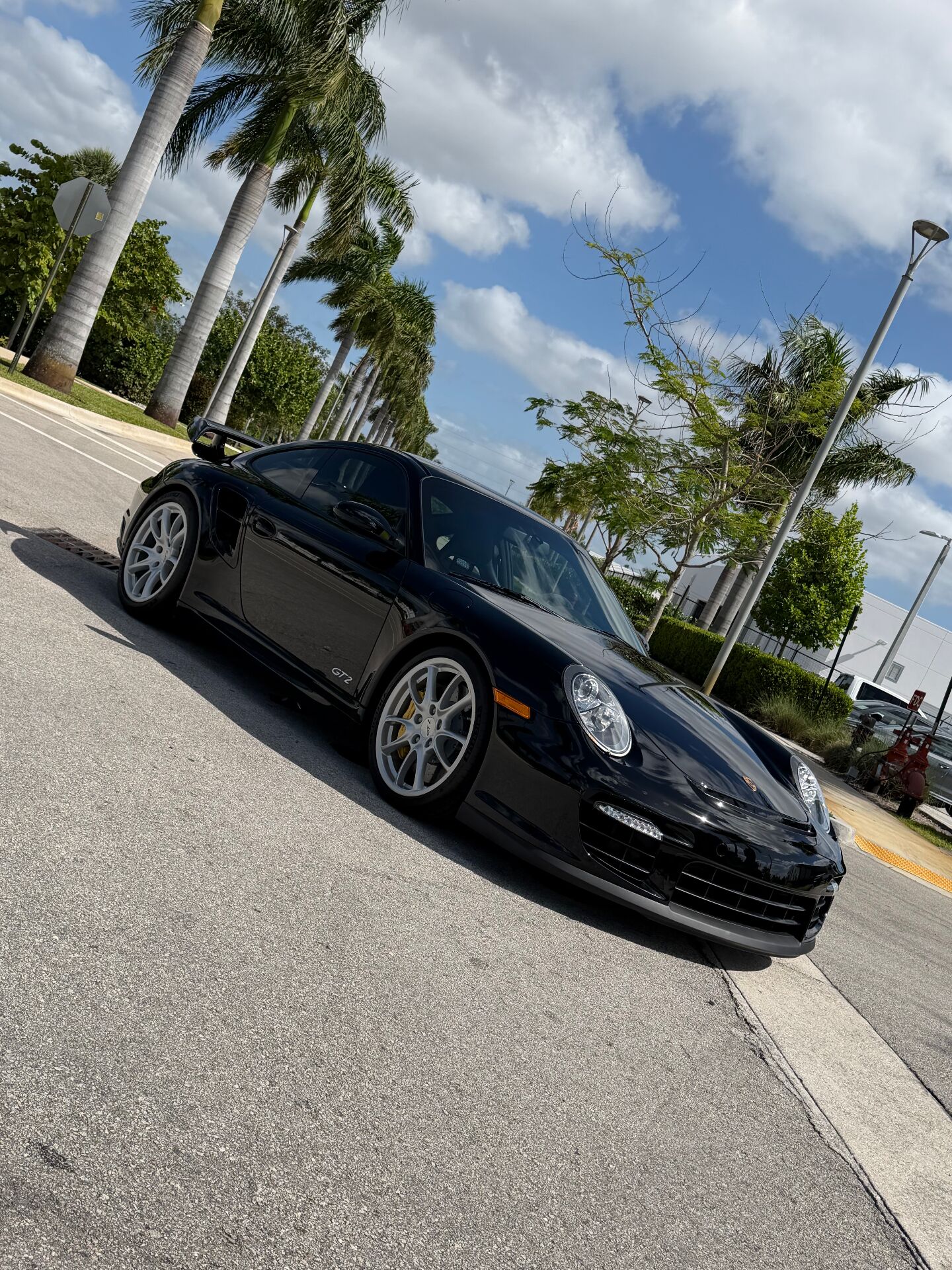 PPF project 8