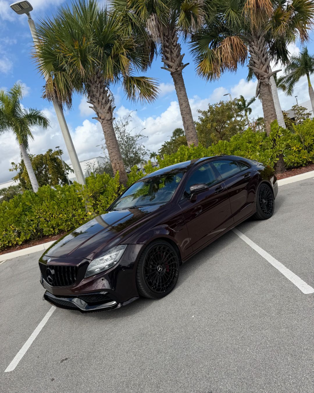 Custom Vehicle Wrap detailed by Imperial Auto Lab