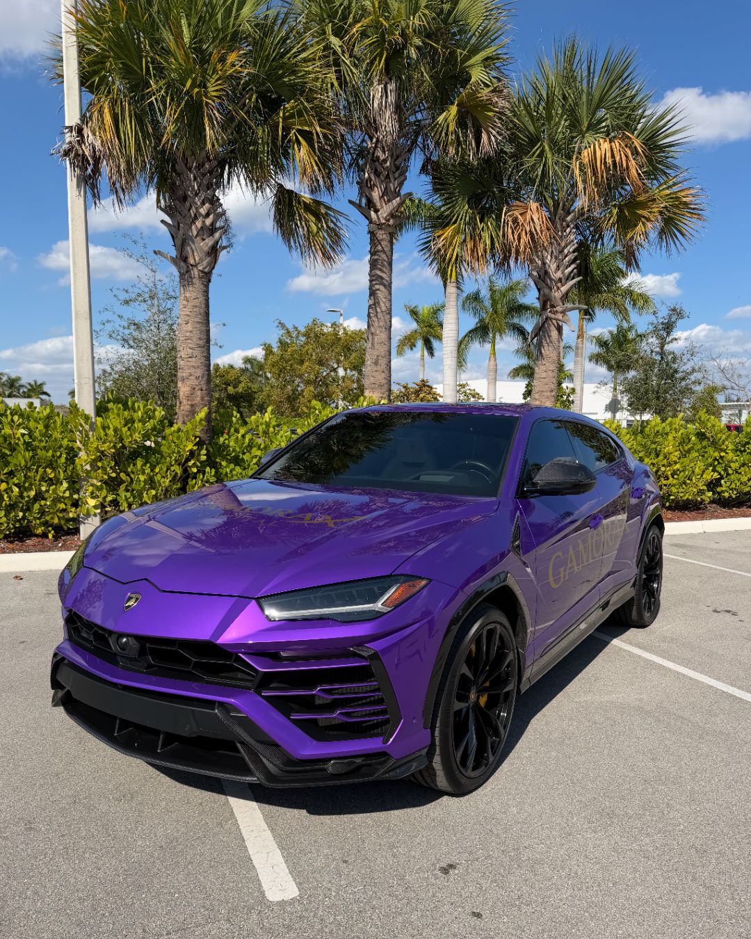 Full Vehicle Wrap detailed by Imperial Auto Lab