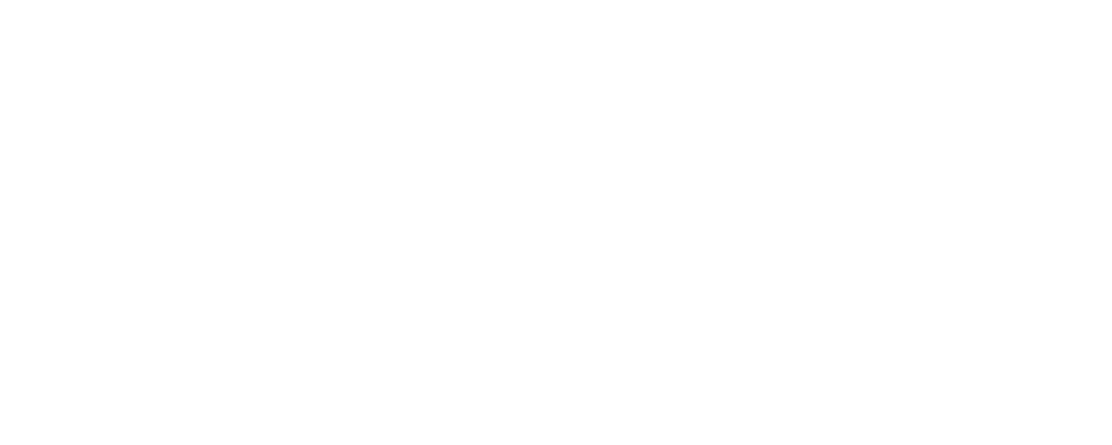 Project X60 logo
